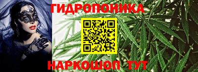 сатива Канаш