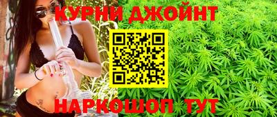 молекула духа Камышлов